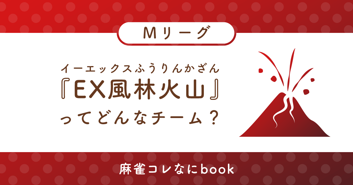 イーエックス風林火山ってどんなチーム？