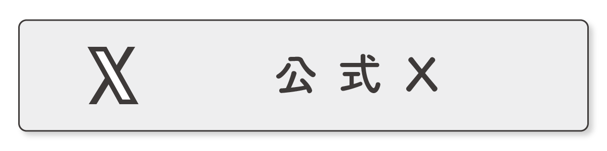 公式X